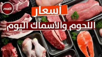 أسعار اللحوم اليوم الخميس 26-2-2026 في السوق المحلية